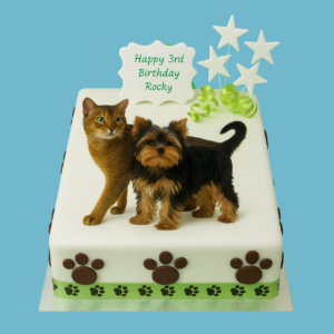 A square white fondant cake featuring a personalised pet photo in the centre, surrounded by brown paw prints at the base and topped with small star decorations. A green ribbon wraps around the bottom edge, and a customisable message plaque sits on the cake’s surface. The design is clean and festive, ideal for pet-themed celebrations.