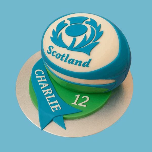 A round cake shaped like a traditional rugby ball with alternating panels of crisp white and deep blue. One white panel features a stylized blue emblem. The cake has a smooth fondant finish with clean, sharp lines, creating a polished and sporty look, perfect as a centerpiece for a rugby-themed celebration.