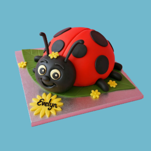 Ladybird Cake