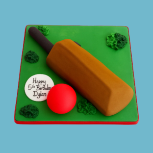 Cricket Bat and Ball Cake
