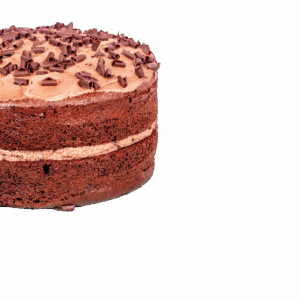 Gluten Free Chocolate Caramel Fudge Cake